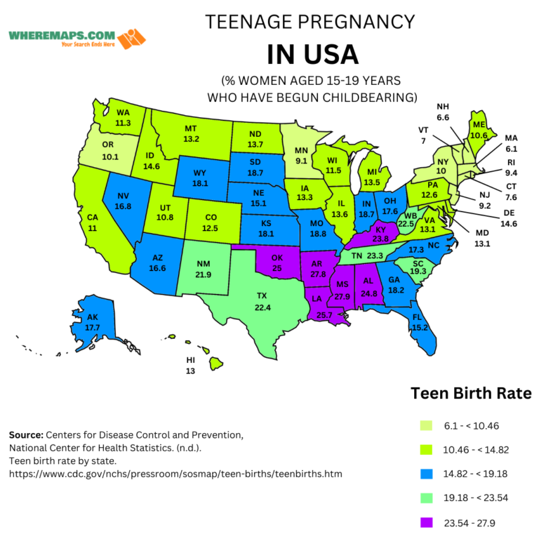 TEENAGE PREGNANCY IN USA
